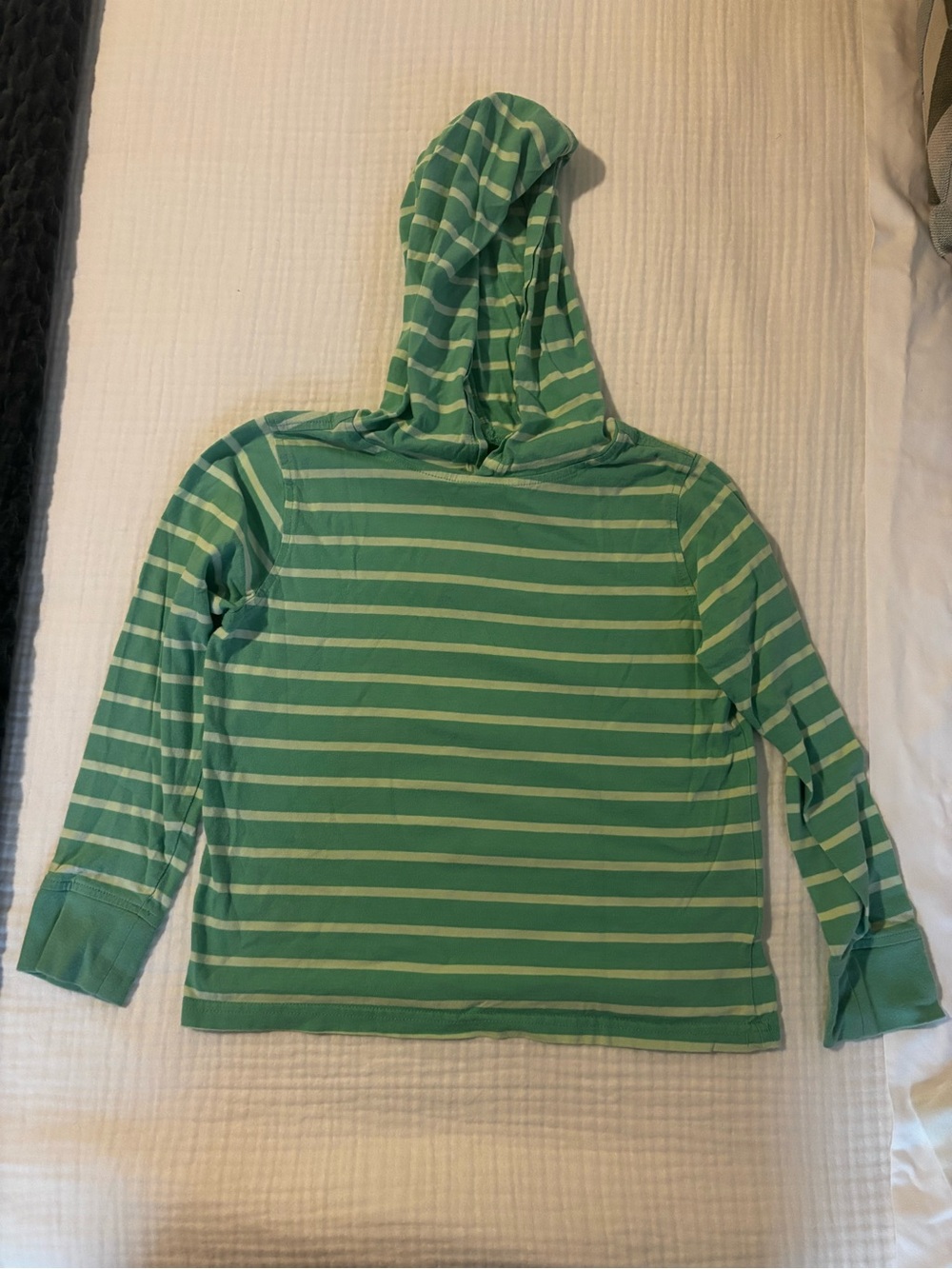 Crewcuts Green Striped Hooded Long-Sleeve Top